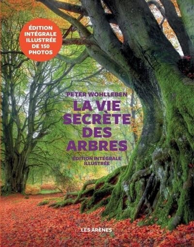 LA VIE SECRÈTE DES ARBRES -ÉDITION ILLUSTRÉE | 9782352046790 | WOHLLEBEN, PETER