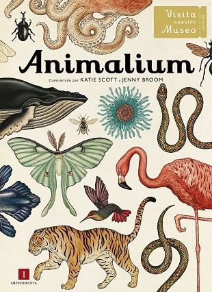 ANIMALIUM | 9788415979463 | AA.VV.