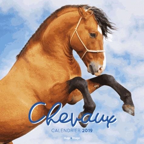 CALENDRIER MURAL CHEVAUX 2019 | 9782755639520