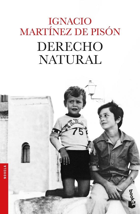 DERECHO NATURAL | 9788432234279 | MARTÍNEZ DE PISÓN, IGNACIO