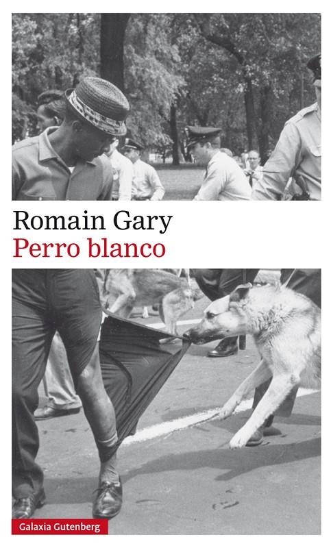 PERRO BLANCO | 9788417355586 | GARY, ROMAIN