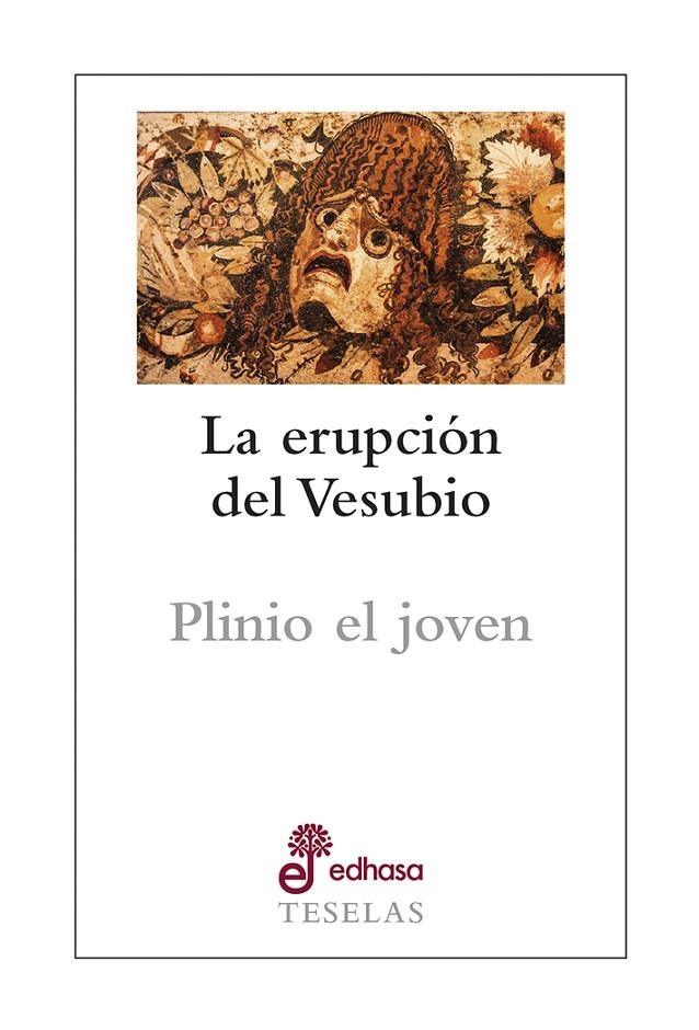 LA ERUPCIÓN DEL VESUBIO | 9788435023191 | PLINIO EL JOVEN