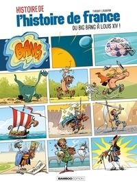 HISTOIRE DE L'HISTOIRE DE FRANCE TOME 1. DU BIG BANG À LOUIS XIV - BD | 9782818946947 | LAUDRAIN, THIERRY