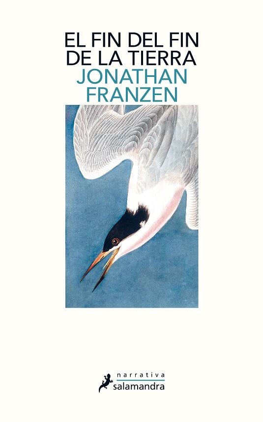 EL FIN DEL FIN DE LA TIERRA | 9788498389340 | FRANZEN, JONATHAN