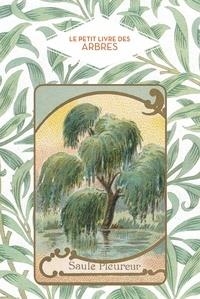 LE PETIT LIVRE DES ARBRES | 9782379640629 | PEN DU, DOMINIQUE