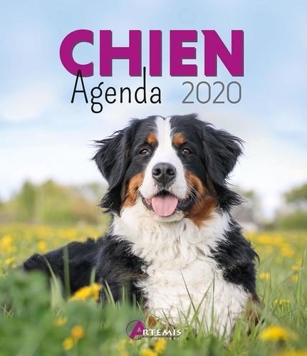 AGENDA 2020 CHIEN | 9782816015690 | COLLECTIF