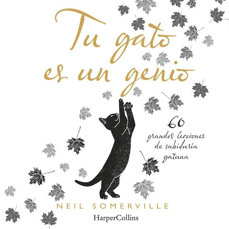 TU GATO ES UN GENIO. 60 GRANDES LECCIONES DE SABIDURÍA GATUNA | 9788491394211 | SOMERVILLE, NEIL