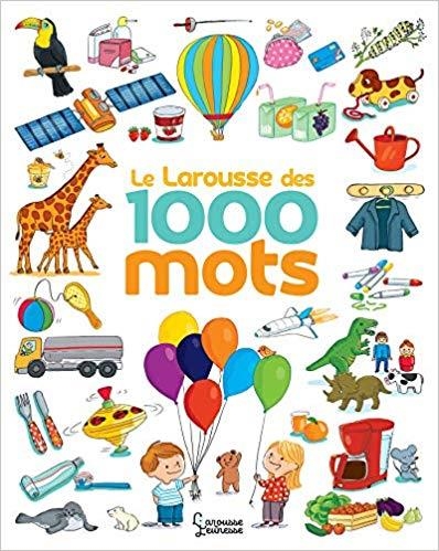 LE LAROUSSE DES 1 000 MOTS NE | 9782035960337 | MODESTE, CAROLINE