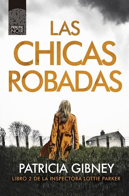 LAS CHICAS ROBADAS | 9788417333362 | GIBNEY, PATRICIA