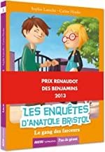 LES ENQUETES D'ANATOLE BRISTOL TOME 1 - LE GANG DES FARCEURS | 9782733821657 | CARINE HINDER / SOPHIE LAROCHE