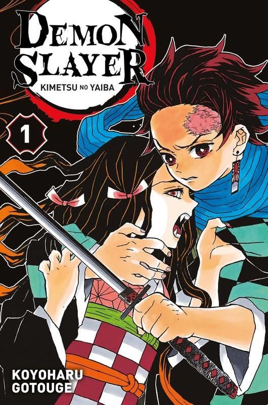 DEMON SLAYER T01 | 9782809482317 |  KOYOHARU GOTOUGE