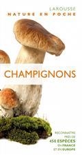 CHAMPIGNONS : RECONNAÎTRE PRÈS DE 450 ESPÈCES EN FRANCE ET EN EUROPE | 9782035990570 | COLLECTIF