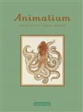 ANIMALIUM | 9782203051515 | BROOM, JENNY