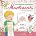 MES CARTES DU CORPS HUMAIN MONTESSORI | 9782324028823 | SANTINI, CÉLINE