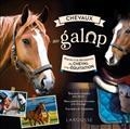 CHEVAUX AU GALOP : PARTEZ À LA DÉCOUVERTE DU CHEVAL ET DE L'ÉQUITATION | 9782036005136 | COLLECTIF