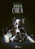 CHIEN : AGENDA 2023 | 9782816020281