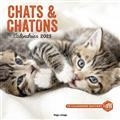 CHATS & CHATONS : CALENDRIER 2023 | 9782755698497 | COLLECTIF