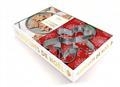 COFFRET BISCUITS DE NOËL NEW GENERATION | 9782017200932 | HARLÉ, EVA