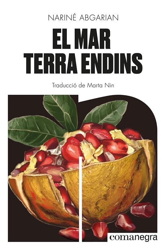 EL MAR TERRA ENDINS | 9788419590343 | ABGARIAN, NARINÉ