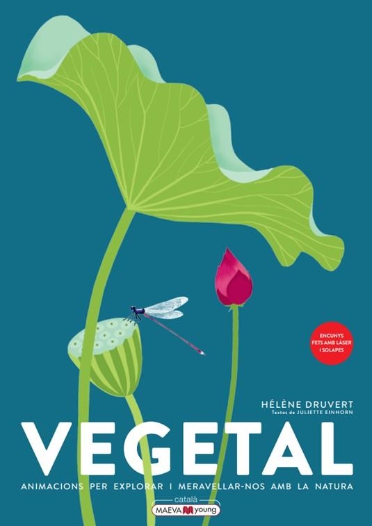 VEGETAL - CATALÀ | 9788419110886 | DRUVERT, HÉLÈNE