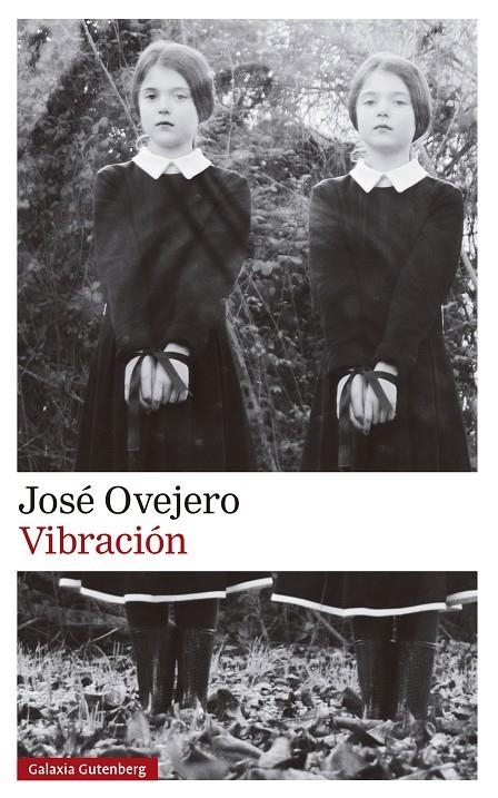 VIBRACIÓN | 9788419738615 | OVEJERO, JOSÉ