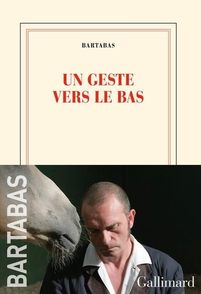 UN GESTE VERS LE BAS | 9782073051516 | BARTABAS