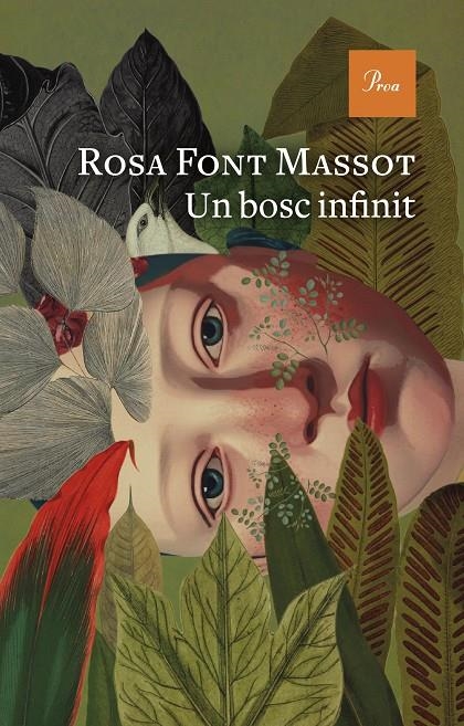 UN BOSC INFINIT | 9788419657732 | FONT MASSOT, ROSA