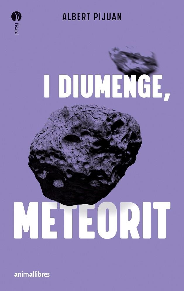 I DIUMENGE, METEORIT | 9788419659415 | ALBERT PIJUAN