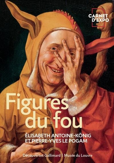 FIGURES DU FOU | 9782073084644 | PIERRE-YVES LE POGAM