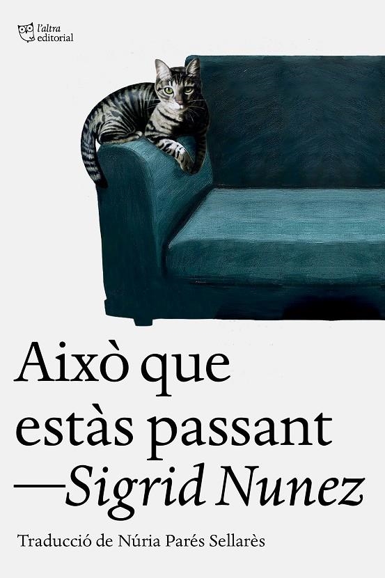 AIXÒ QUE ESTÀS PASSANT | 9788412925739 | NUNEZ, SIGRID