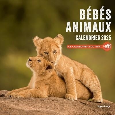 CALENDRIER MURAL BÉBÉS ANIMAUX 2025 | 9782755676464 | COLLECTIF