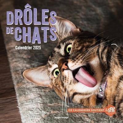 CALENDRIER MURAL DRÔLES DE CHATS 2025 | 9782755676525 | COLLECTIF