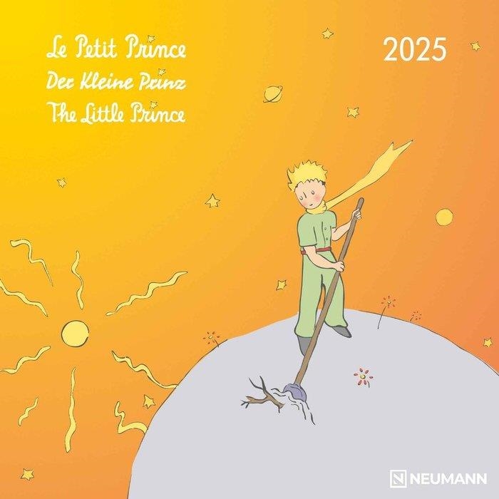 CALENDARIO 2025 THE LITTLE PRINCE 30X30 | 4002725987983