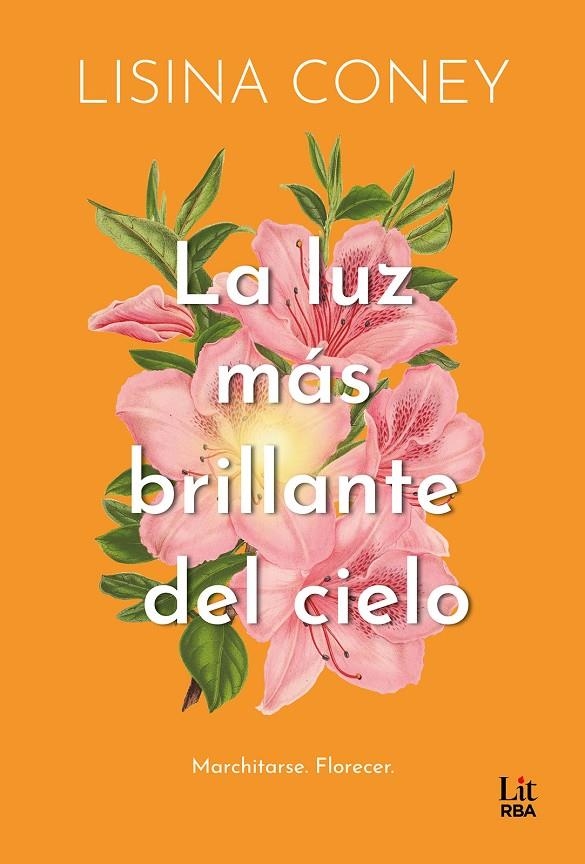 LA LUZ MÁS BRILLANTE DEL CIELO | 9788411329323 | CONEY, LISINA